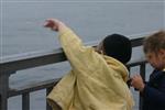 The Rebbe and Chassidim do Tashlich for the Day of Atonement