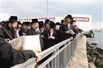 הרבי והחסידים מקיימים את מנהג תשליך לקראת יום הכיפורים