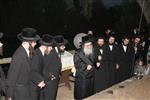הרבי והחסידים מקיימים את מנהג תשליך לקראת יום הכיפורים