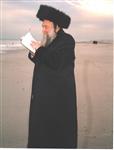 הרבי והחסידים מקיימים את מנהג תשליך לקראת יום הכיפורים