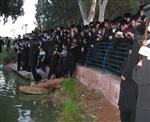 The Rebbe and Chassidim do Tashlich for the Day of Atonement