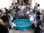 הרבי והחסידים מקיימים את מנהג תשליך לקראת יום הכיפורים