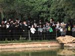 הרבי והחסידים מקיימים את מנהג תשליך לקראת יום הכיפורים